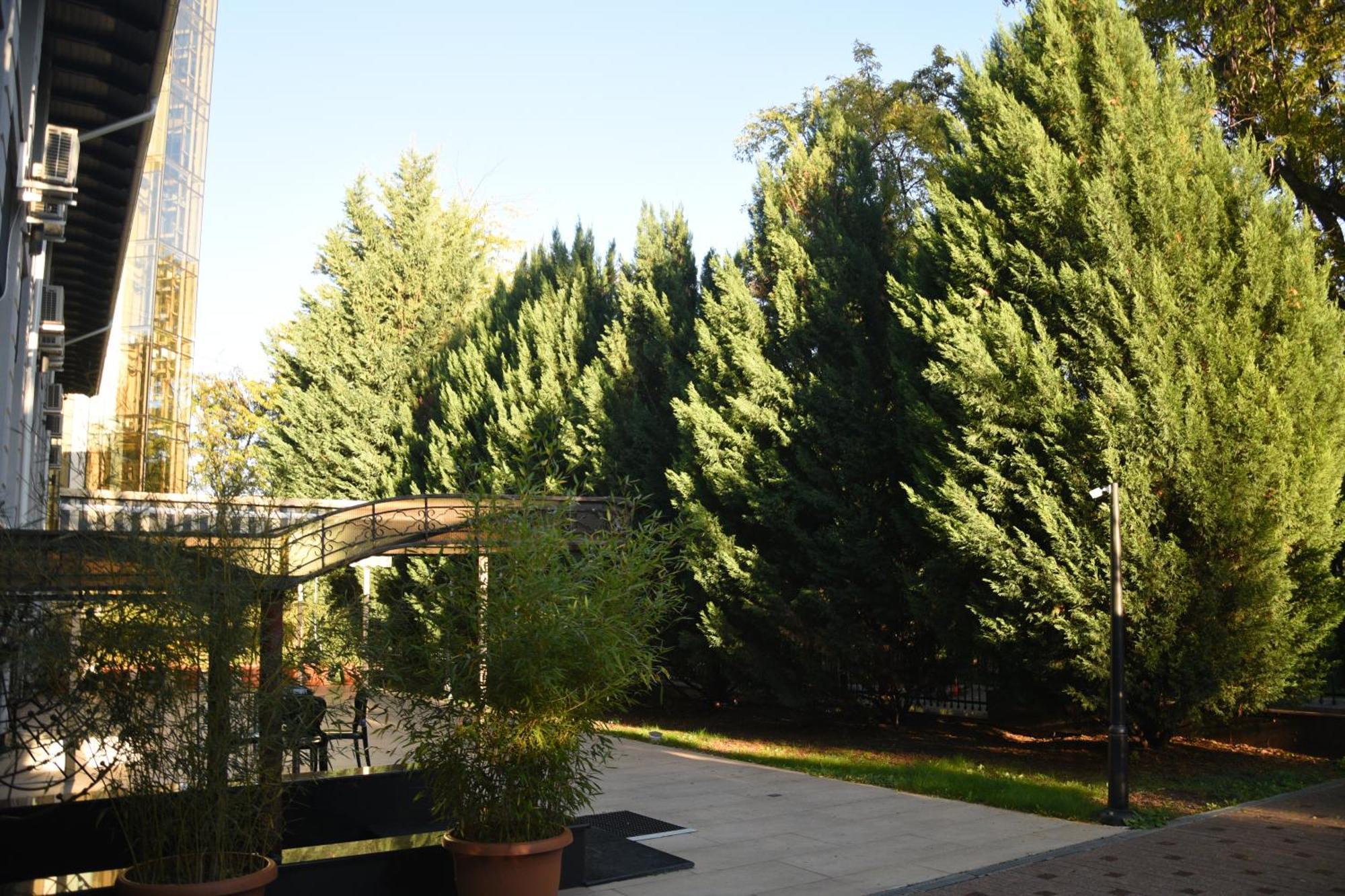 Hotel Royal Florence Chisinau Exterior photo